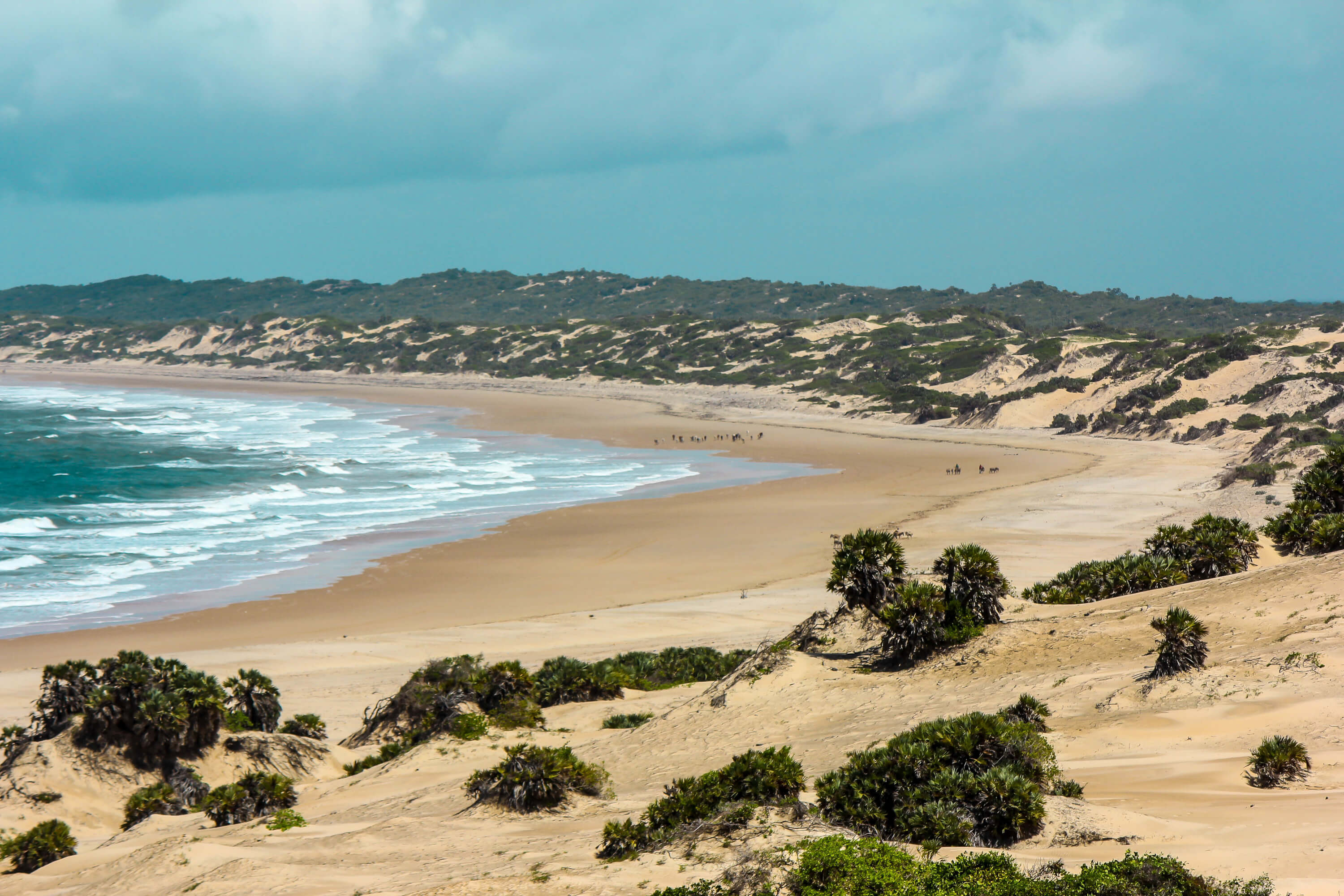 Shela Beach
