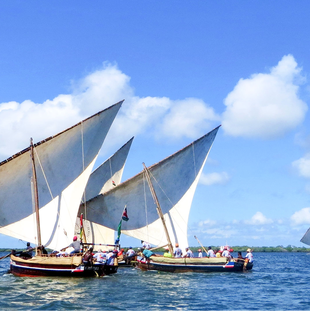 Dhow Sailing