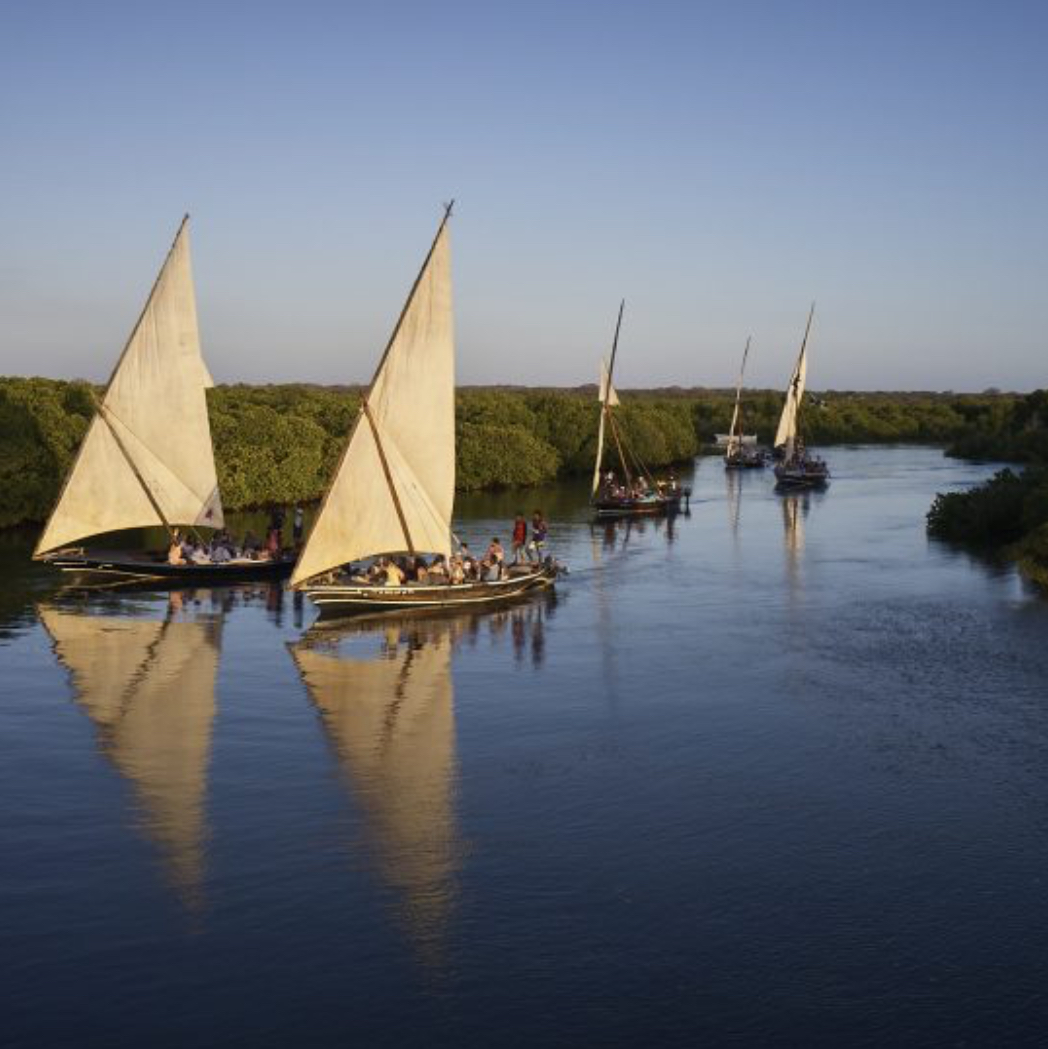 Dhow Sailing